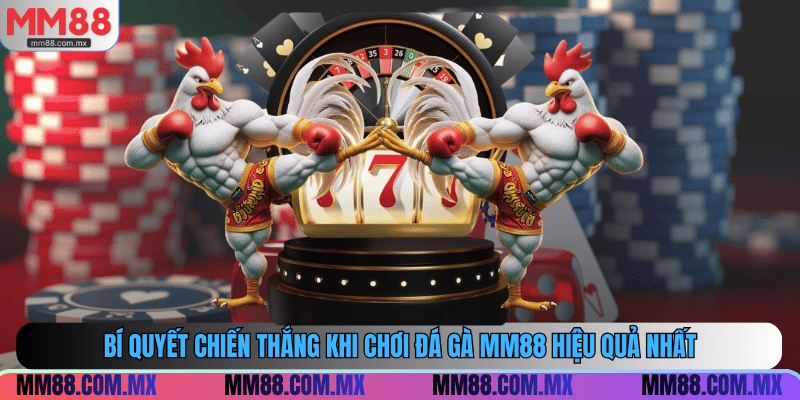Bí quyết chiến thắng khi chơi đá gà MM88 hiệu quả nhất