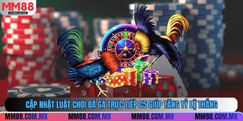 Cập nhật luật chơi đá gà trực tiếp C5 giúp tăng tỷ lệ thắng
