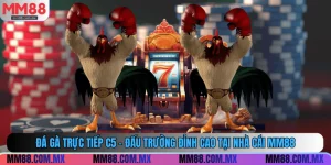đá gà trực tiếp C5