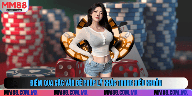 Điểm qua các vấn đề pháp lý khác trong điều khoản