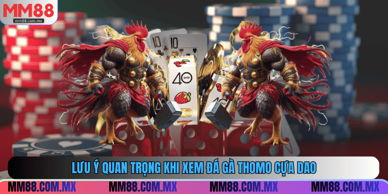 Lưu ý quan trọng khi xem đá gà thomo cựa dao