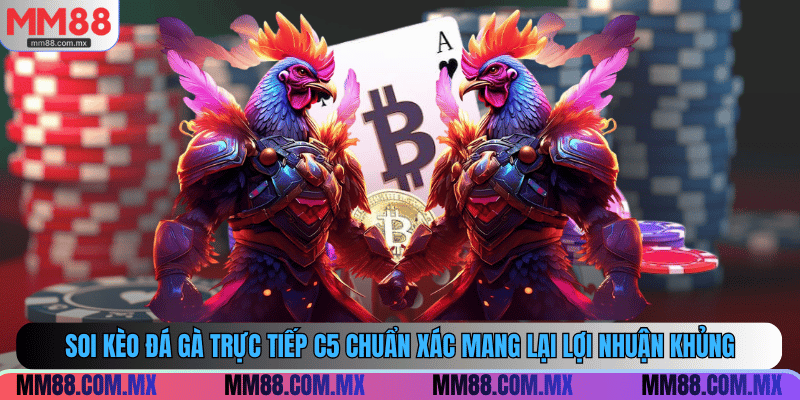 Soi kèo đá gà trực tiếp C5 chuẩn xác mang lại lợi nhuận khủng