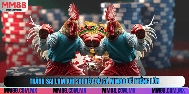 Tránh sai lầm khi soi kèo đá gà MM88 để thắng lớn