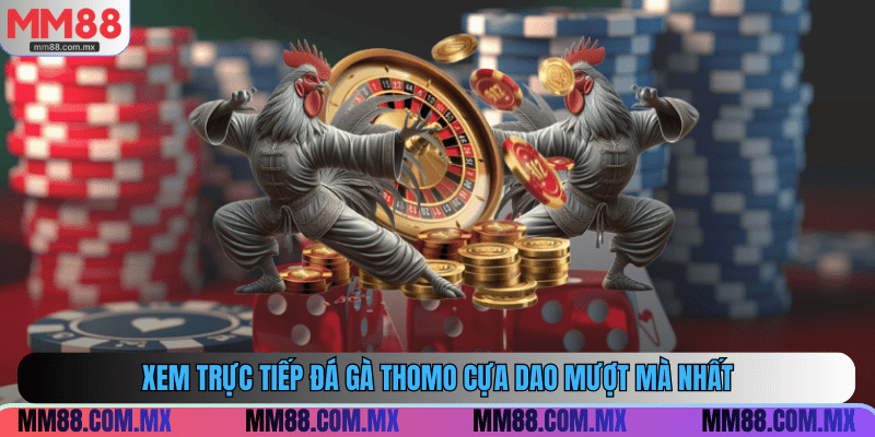 Xem trực tiếp đá gà thomo cựa dao mượt mà nhất